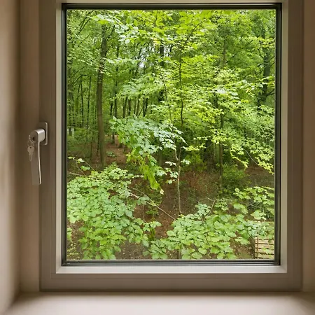Koningsbos I Thuis In Het Bos