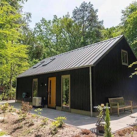 Koningsbos I Thuis In Het Bos