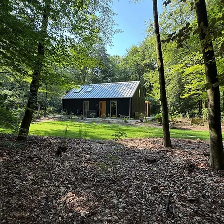 Koningsbos I Thuis In Het Bos 度假居 *