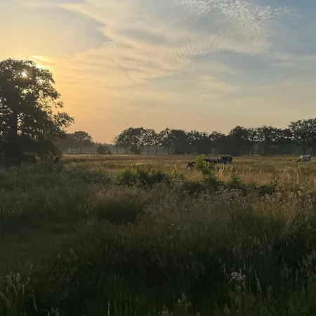 Koningsbos I Thuis In Het Bos 度假居