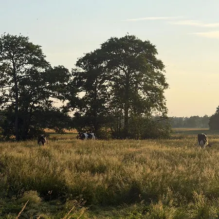 度假居 Koningsbos I Thuis In Het Bos