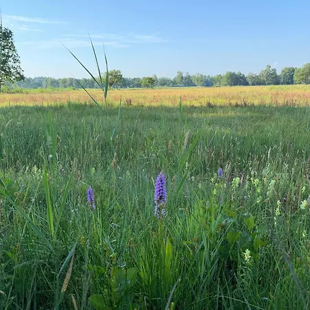 Koningsbos I Thuis In Het Bos 度假居 *