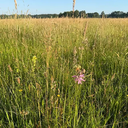 度假居 Koningsbos I Thuis In Het Bos