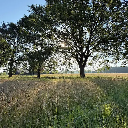 Koningsbos I Thuis In Het Bos 度假居 埃姆斯特