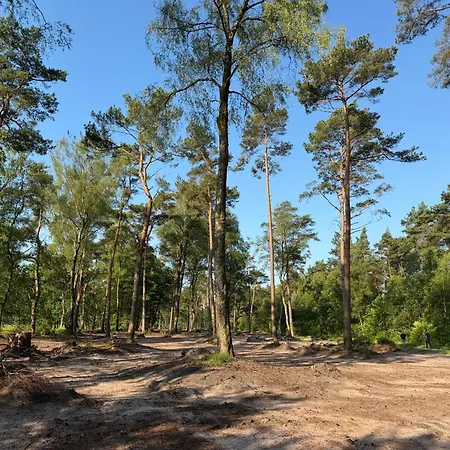 Koningsbos I Thuis In Het Bos 度假居
